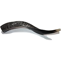 Los mejores  - 16-19 &quot-natural auténtico Yemenite Kosher Kudu cuerno Shofar – judío Israel